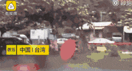 “山竹”已致广东4人死亡、江水倒灌，香港超200人受伤！现进入广西…（组图） - 7