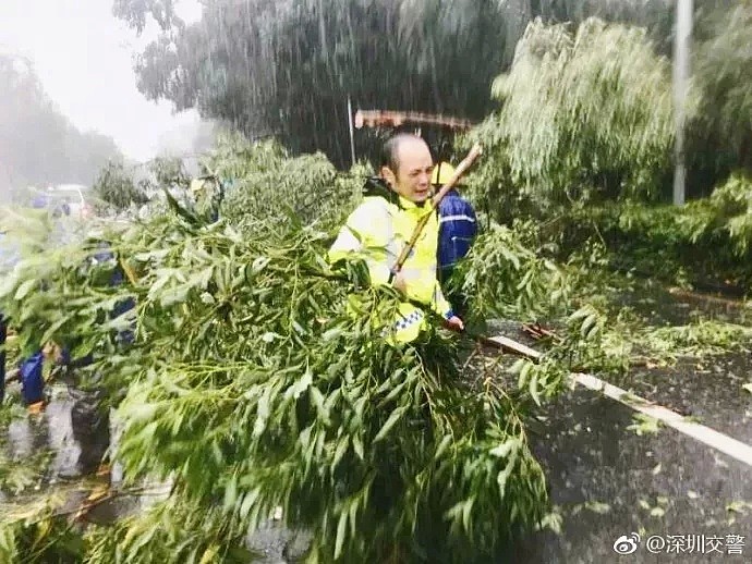 “山竹”已致广东4人死亡、江水倒灌，香港超200人受伤！现进入广西…（组图） - 47