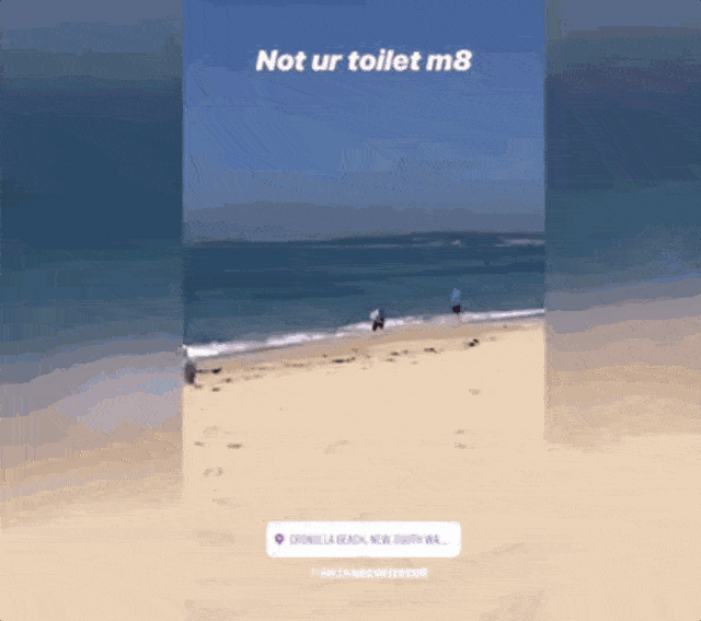 没眼看！澳洲著名海滩上，一名男子居然当众脱下裤子，面朝大海，自由飞“翔”...（视频/组图） - 9