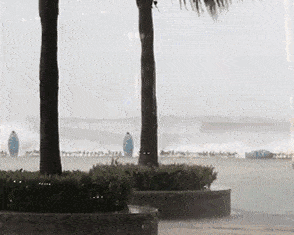 14级台风王“山竹”来了！当全球都在为灾民祈祷，广东人民却沉迷于放假的喜悦中无法自拔（视频/组图） - 17