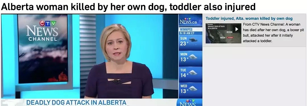 加拿大女子被自家宠物狗咬死，2岁女童受重伤！养烈性犬要注意（组图） - 1