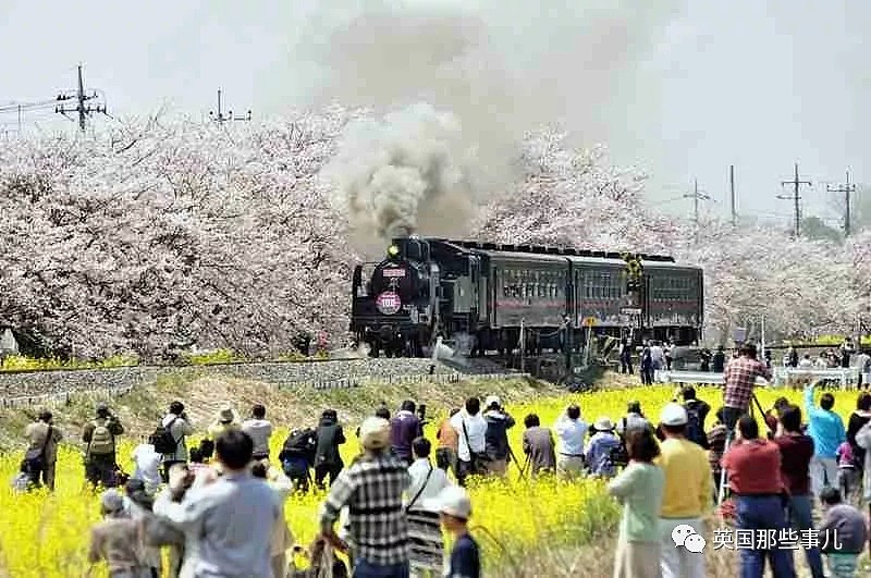 拍火车变成搞破坏…日本这群火车摄影迷，简直要把路人气炸！（组图） - 2