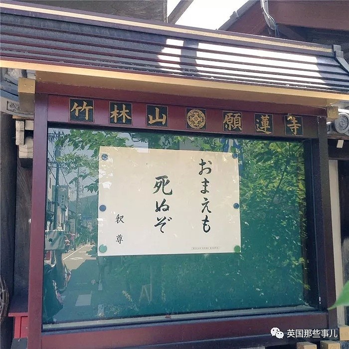 日本寺庙年度扎心标语评选…和尚们表示皮这一下很开心（组图） - 5