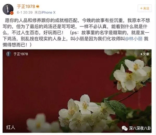 戏精于正凭“延禧攻略”翻身，也改不了抄袭假白莲的恶心嘴脸吧？（组图） - 109