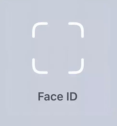 苹果新iPad Pro或10月发布！脸部识别+无刘海全面屏？iOS12.1泄密 细节曝光（组图） - 11