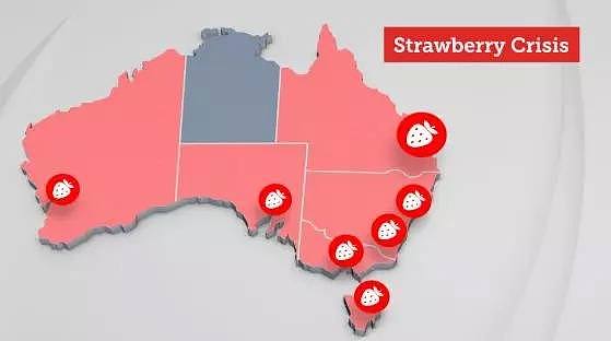 澳洲农民，应该是世界上最幸福的吧！最危急的时候，澳洲民众充满了爱（组图） - 8