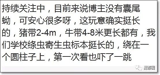 惊呆！一男子从屁股里摸出白色长条粘液虫！医生都束手无策…（组图） - 60