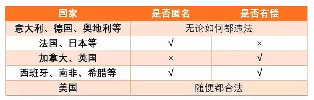 又到了女大学生卖卵换爱疯XS背驴牌的季节了...（组图） - 21