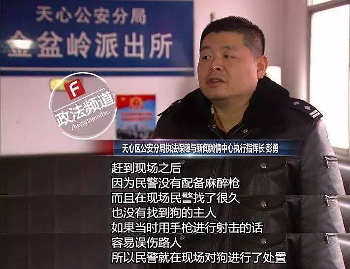 高铁霸座哥霸坐姐的出现 是全中国对规则的漠视！（视频/组图） - 4