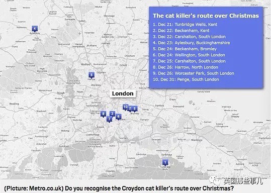 3年投入上千小时警力调查破案，伦敦猫咪连环杀手居然是这个？（组图） - 7