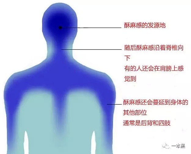 颅内高潮，耳语色诱，被色情玩坏的ASMR（组图） - 1