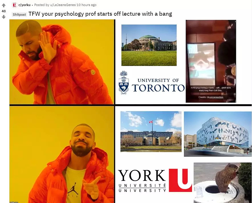 敲黑板！加拿大教授竟然在500人的大教室里，放羞羞小视频！（视频/组图） - 13