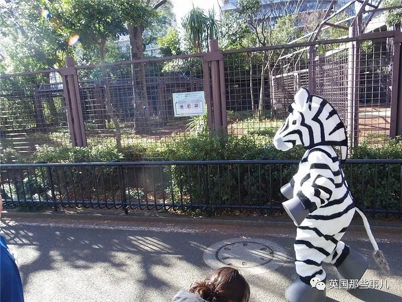 日本动物园为了防灾害进行猛兽抓捕演习…这智障画风真的大丈夫？ - 1