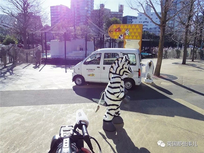 日本动物园为了防灾害进行猛兽抓捕演习…这智障画风真的大丈夫？ - 6