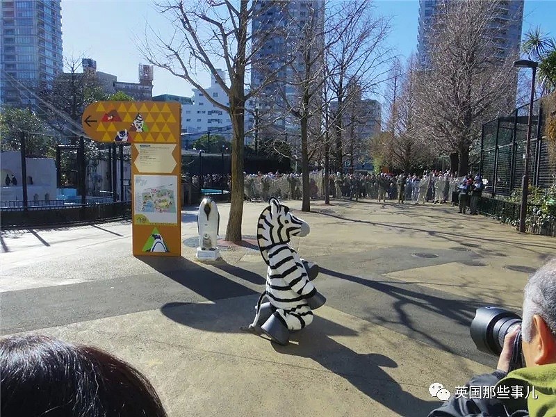 日本动物园为了防灾害进行猛兽抓捕演习…这智障画风真的大丈夫？ - 7