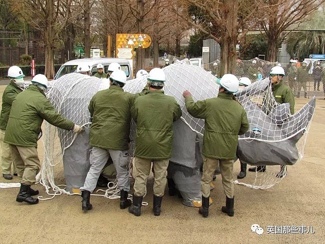 日本动物园为了防灾害进行猛兽抓捕演习…这智障画风真的大丈夫？ - 17
