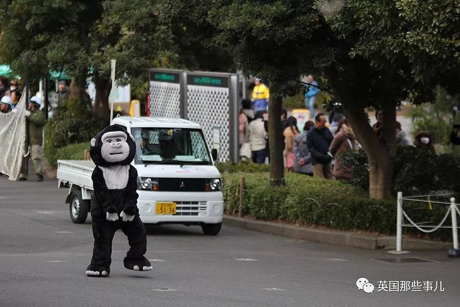 日本动物园为了防灾害进行猛兽抓捕演习…这智障画风真的大丈夫？ - 18