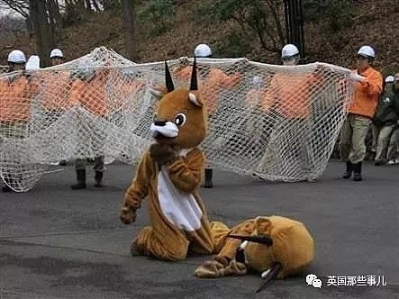 日本动物园为了防灾害进行猛兽抓捕演习…这智障画风真的大丈夫？ - 28