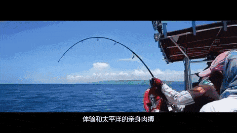 田亮带着大洋洲这群华人，天天吃鲍鱼龙虾，还不花钱！（组图） - 3
