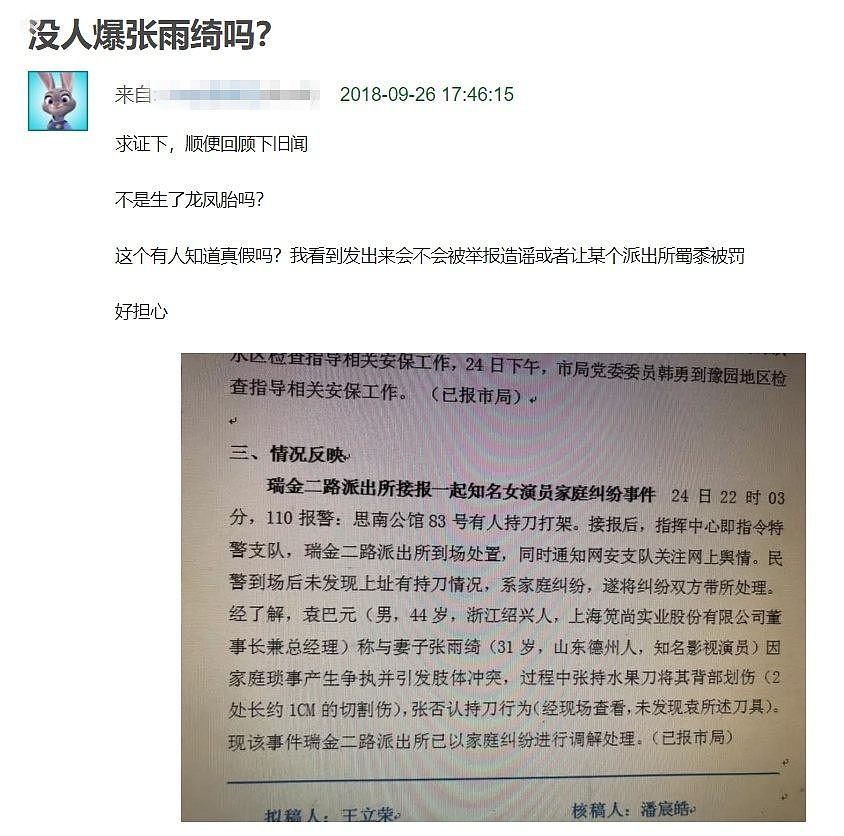 张雨绮袁巴元离婚，知情者曝两人因离婚财产分割才打架报警（组图） - 4