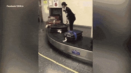 国泰航空暴力卸载视频曝光，终于知道行李箱是怎么坏的了！（视频/组图） - 16