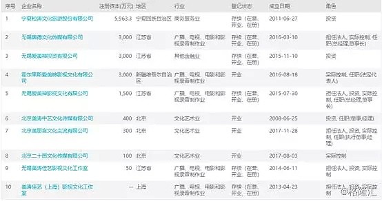 8.8亿，范冰冰怎么还？（组图） - 15