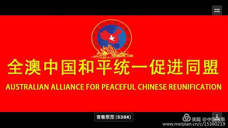 全澳中国和平统一促进同盟中老年工作委员会成立 - 12