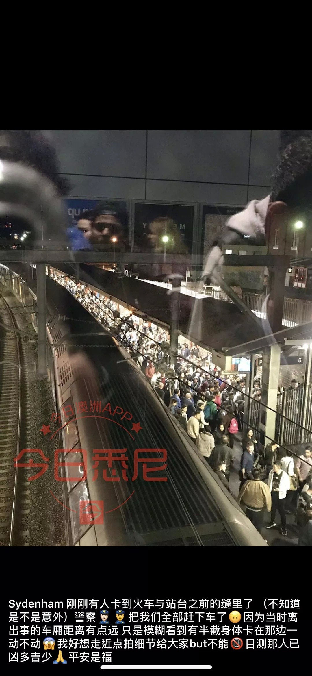 悉尼火车撞死人！事主被夹站台与火车缝隙间，华人目击者讲述亲历（视频/组图） - 1