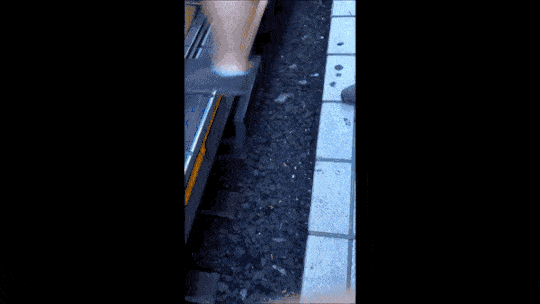悉尼火车撞死人！事主被夹站台与火车缝隙间，华人目击者讲述亲历（视频/组图） - 44