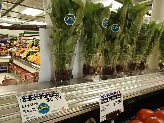 别光买青菜西红柿！澳华人逛超市从不买这些菜，亏大了！手把手教你做菜！（组图） - 18