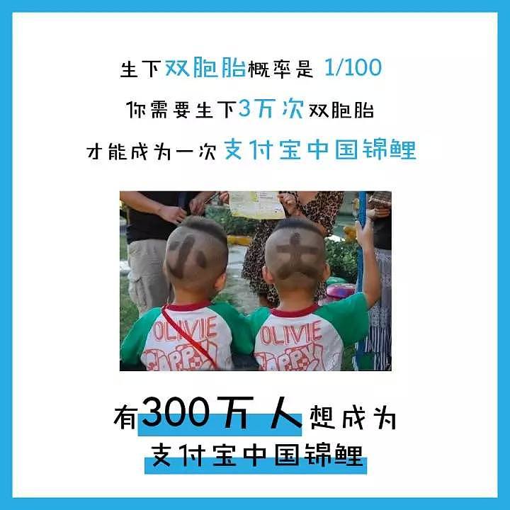 2018年度最大锦鲤出炉！网友抽中支付宝大奖，礼品清单3分钟才能看完！（组图） - 8