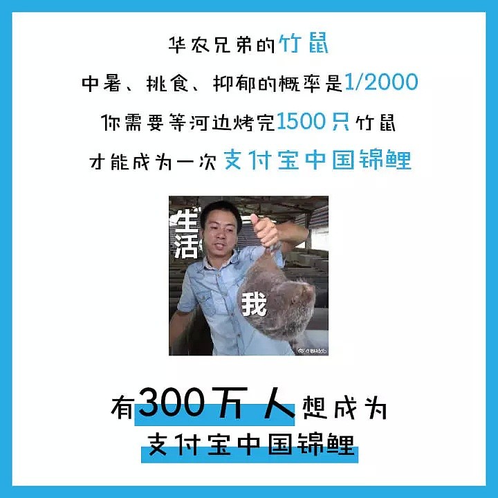 2018年度最大锦鲤出炉！网友抽中支付宝大奖，礼品清单3分钟才能看完！（组图） - 16