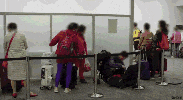 华人注意！一名亚裔女子带了几条烟到澳洲，居然直接被遣返！澳洲机场严查这些，可不能再带进来了！（视频/组图） - 5