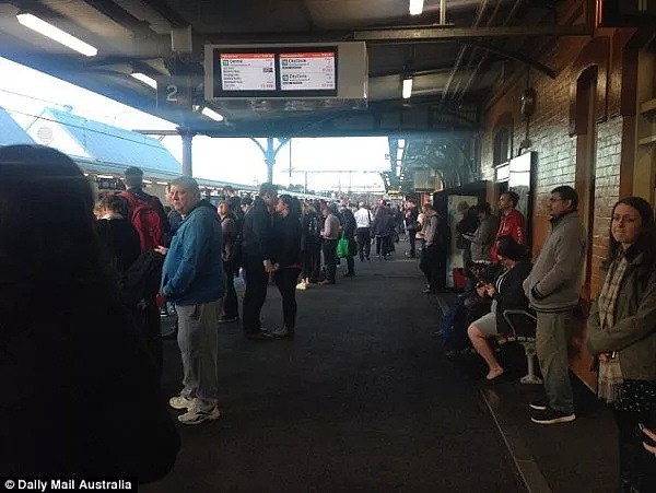 10年最严重！悉尼交通大崩溃！150趟火车，26趟航班被取消！而知道真相原因的民众愤怒了！（组图） - 8