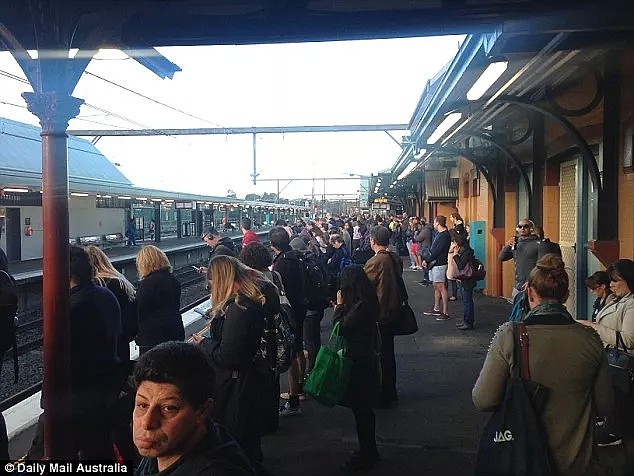 10年最严重！悉尼交通大崩溃！150趟火车，26趟航班被取消！而知道真相原因的民众愤怒了！（组图） - 20