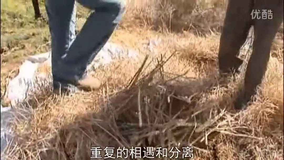豆瓣9.4分纪录片！一日本人游遍全中国，万万没想到当地人都这么对待他（组图） - 42