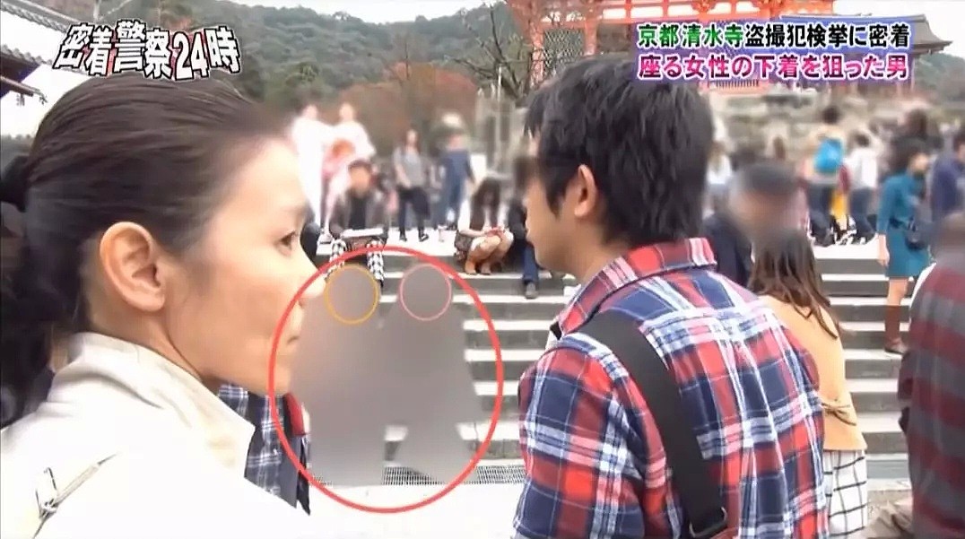 中国女游客注意啦！日本知名景点变态太多，偷拍裙底行为屡禁不止（组图） - 13
