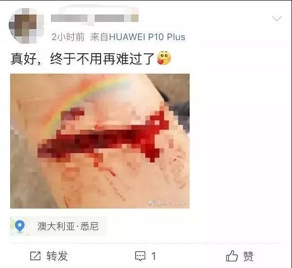 痛心！18岁中国留学生跃轨自杀，当场死亡！“出国后，我并没有想象的快乐”（组图） - 12