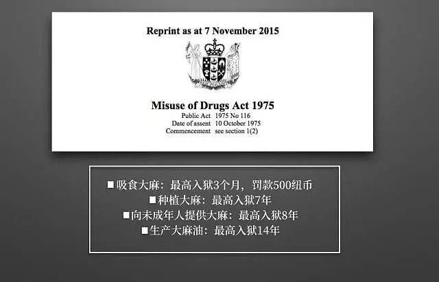 悲剧！中国留学生在新西兰吸毒成瘾，结果死在了回国戒毒的路上……（组图） - 3
