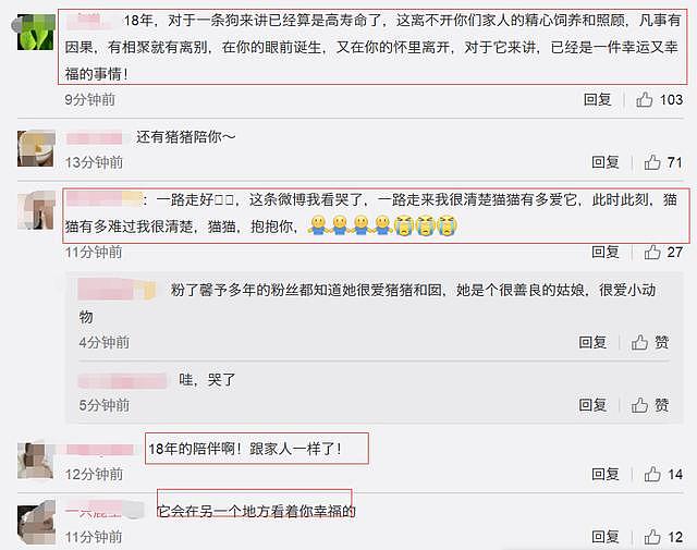 18岁爱犬去世，张馨予发文看哭网友，它要主人结婚幸福后再离开！