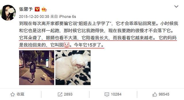 18岁爱犬去世，张馨予发文看哭网友，它要主人结婚幸福后再离开！