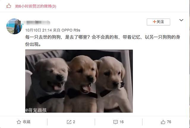 18岁爱犬去世，张馨予发文看哭网友，它要主人结婚幸福后再离开！