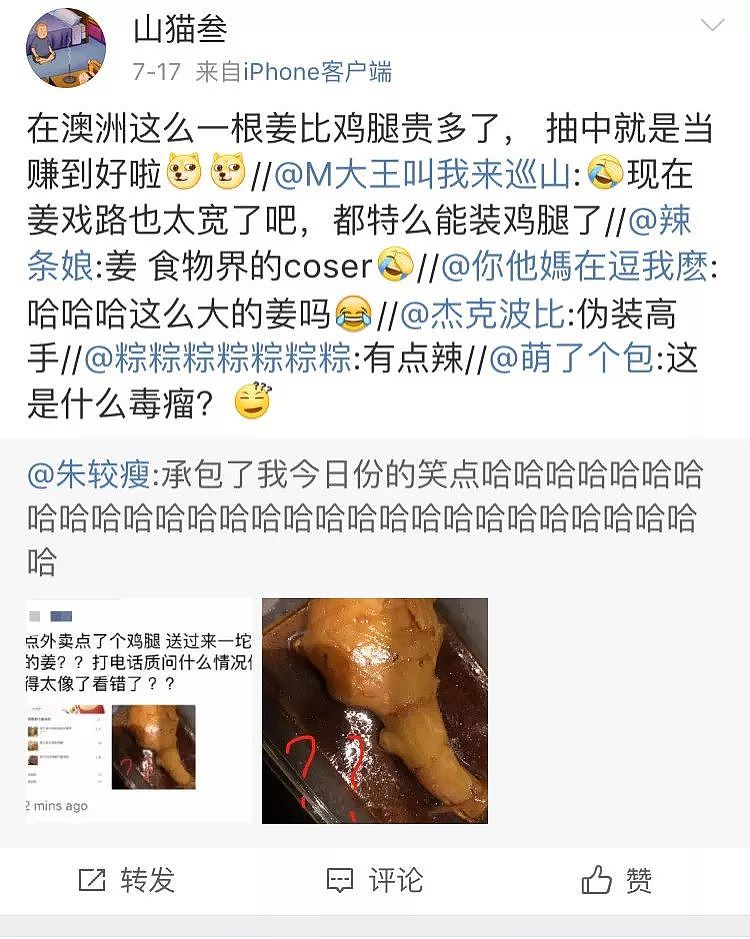 一只“鸡腿”让澳华人集体羡慕！中国姑娘第一次来澳，刚进超市就哭了…（组图） - 5