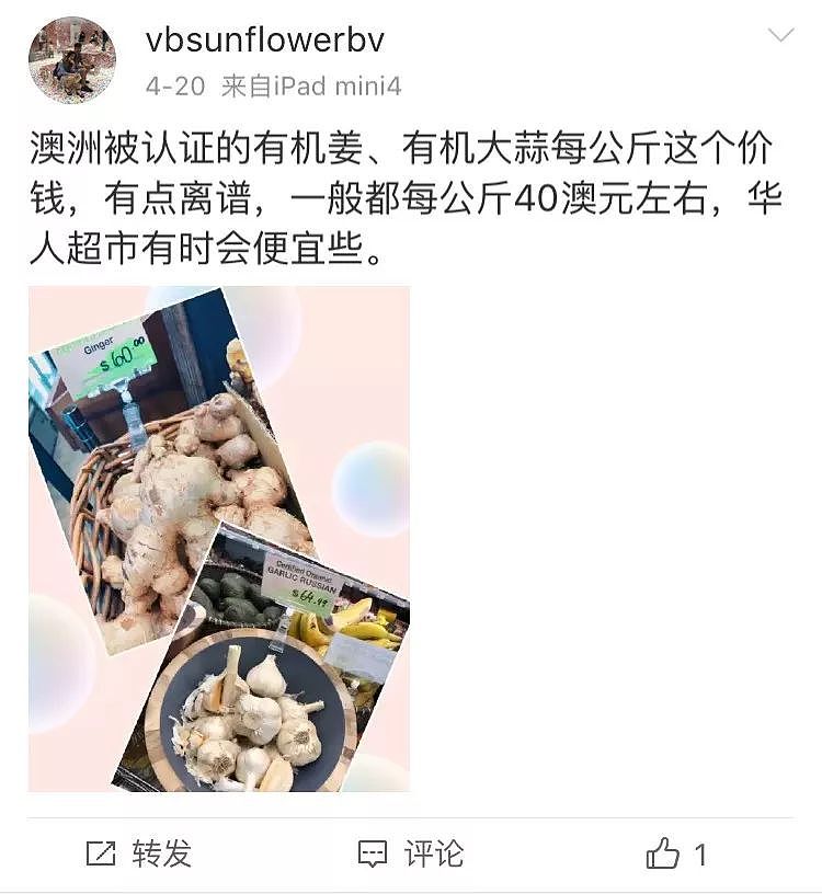 一只“鸡腿”让澳华人集体羡慕！中国姑娘第一次来澳，刚进超市就哭了…（组图） - 17