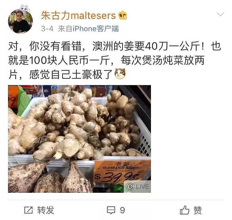 一只“鸡腿”让澳华人集体羡慕！中国姑娘第一次来澳，刚进超市就哭了…（组图） - 20