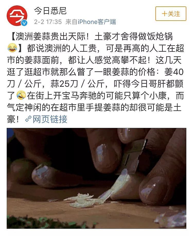 一只“鸡腿”让澳华人集体羡慕！中国姑娘第一次来澳，刚进超市就哭了…（组图） - 25