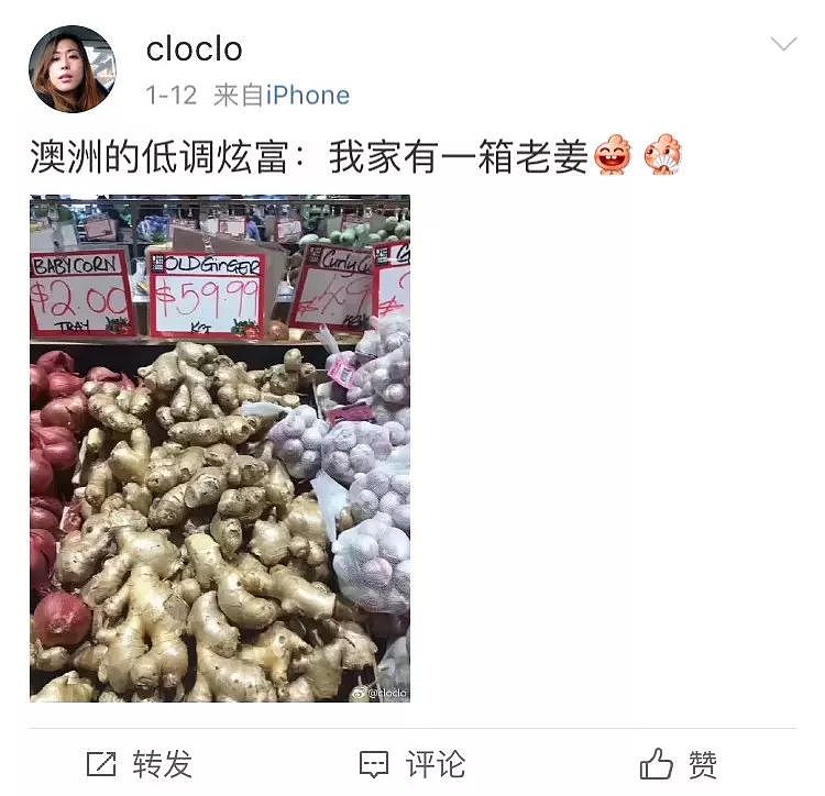 一只“鸡腿”让澳华人集体羡慕！中国姑娘第一次来澳，刚进超市就哭了…（组图） - 27