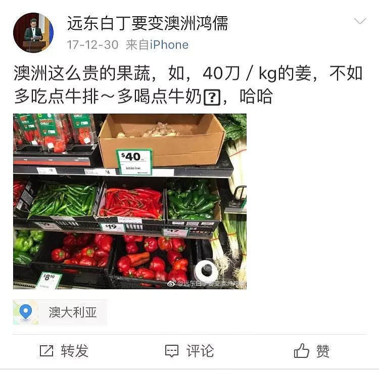 一只“鸡腿”让澳华人集体羡慕！中国姑娘第一次来澳，刚进超市就哭了…（组图） - 28