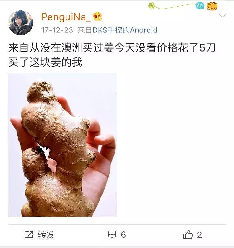 一只“鸡腿”让澳华人集体羡慕！中国姑娘第一次来澳，刚进超市就哭了…（组图） - 29