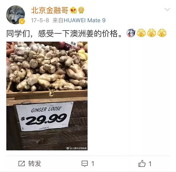 一只“鸡腿”让澳华人集体羡慕！中国姑娘第一次来澳，刚进超市就哭了…（组图） - 30
